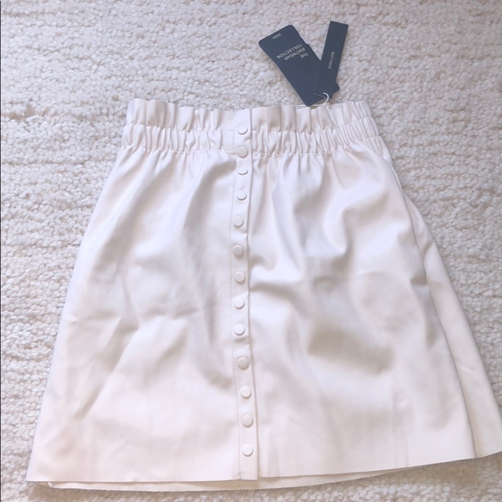 Zara Skirt